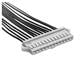 Hirose Connector DF1B-2ES-2.5RC